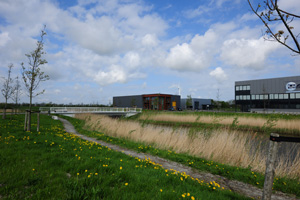 MAF_3117